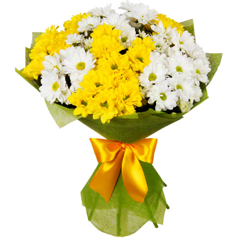 "Перья хризантем". Акция -15%