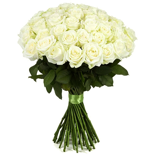 "51 белая роза". Букет роз, 51-85 шт